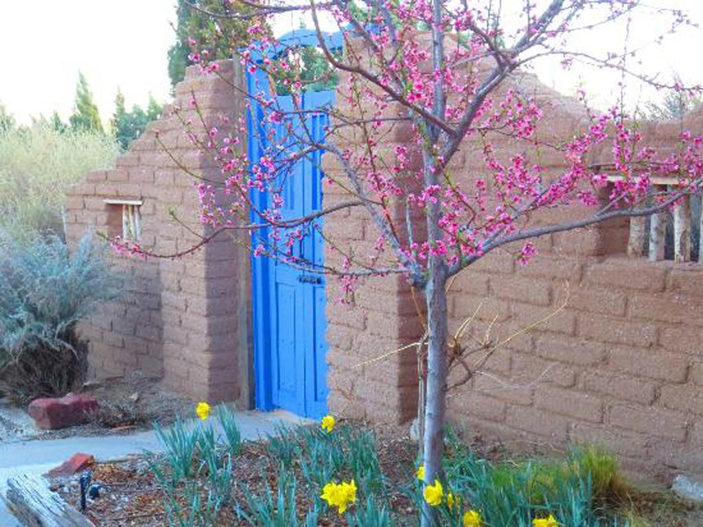 Chocolate Turtle B&B Corrales Εξωτερικό φωτογραφία
