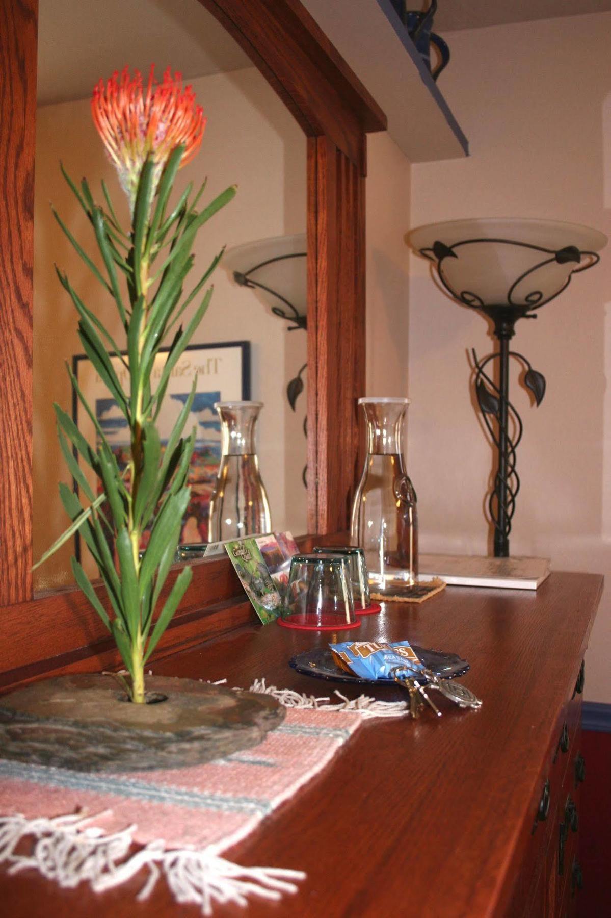 Chocolate Turtle B&B Corrales Εξωτερικό φωτογραφία